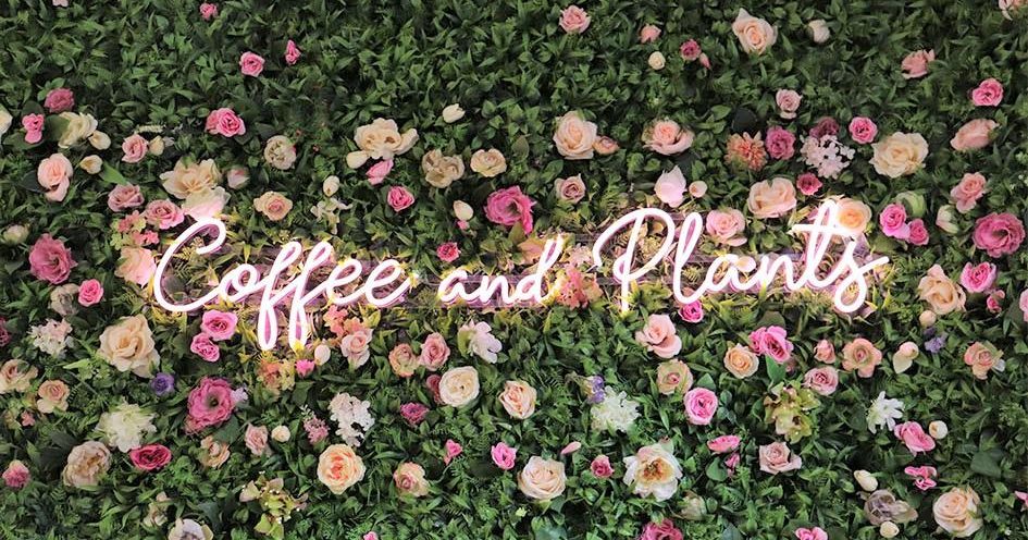 Coffee and Plants - Visit Pasadena | Visit Pasadena